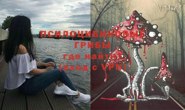 ешки Белоозёрский
