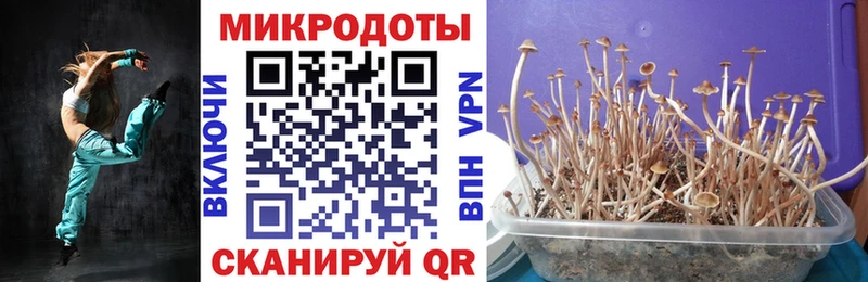 Галлюциногенные грибы Psilocybine cubensis  нарко площадка как зайти  Вельск  купить  